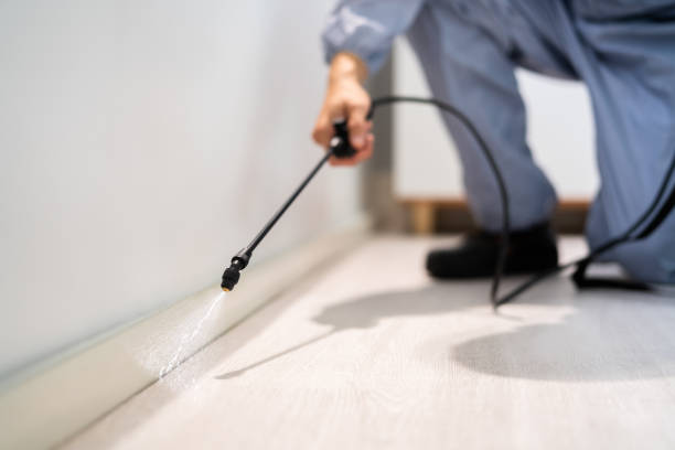 Licensed Mosquito Control service in Groveland, ID - Show Me Pest Control