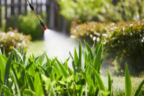 24/7 Emergency Mosquito Control experts in Groveland, ID