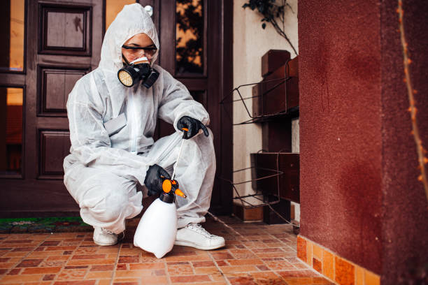 Reliable Mosquito Control contractor in Groveland, ID by Show Me Pest Control