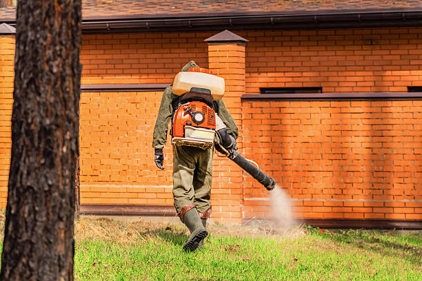 Top rated local Mosquito Control specialists in Groveland, ID